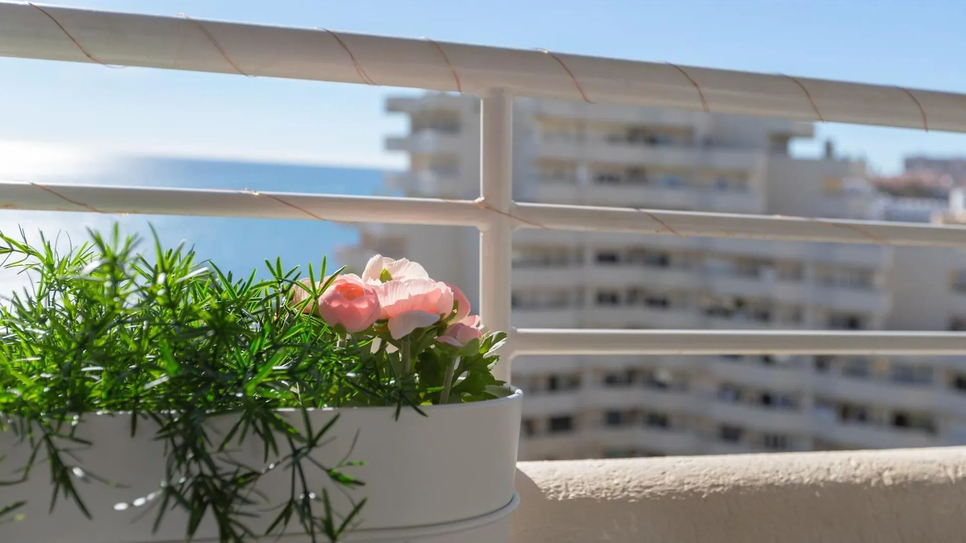 Apartment Apartamento Costa Del Sol Benalmadena